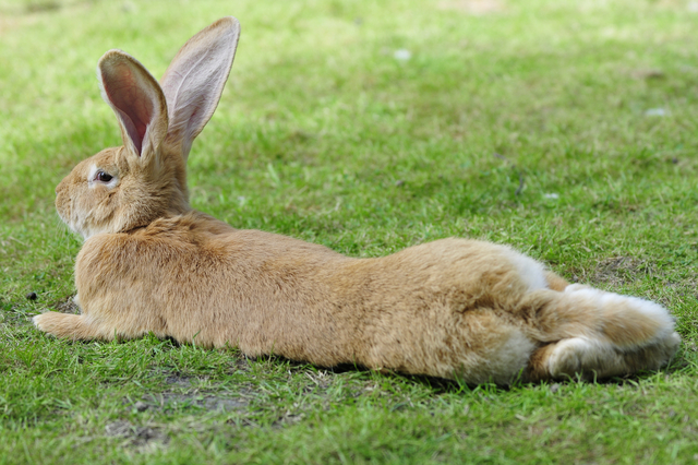 Wenn alle Vorsicht nichts nützt