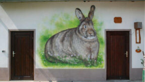 Aufschlussreiche Tierbesprechung beim KTZV C 437 Zusenhofen