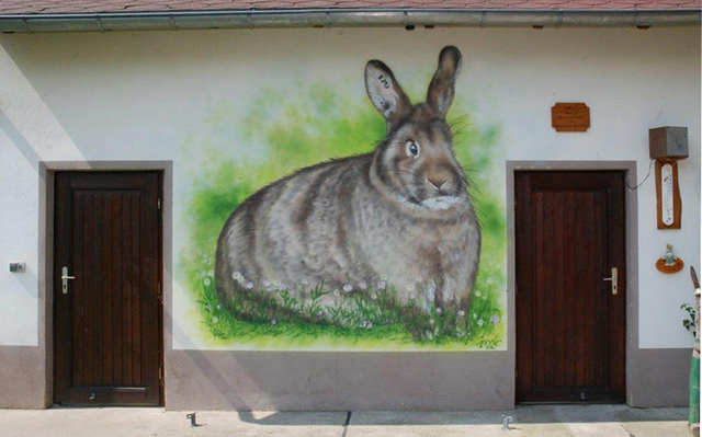 Aufschlussreiche Tierbesprechung beim KTZV C 437 Zusenhofen