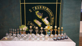 KZV B 2 München-Aubing – 17. Freundschaftsschau