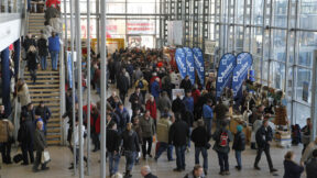 26. Bundes-Rammlerschau 2017 in Erfurt – Einladung