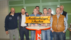 Mecklenburger Schecken in Wittenburg