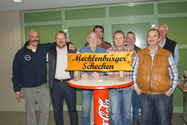 Mecklenburger Schecken in Wittenburg