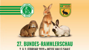 27. Bundes-Rammlerschau 2019 in Halle