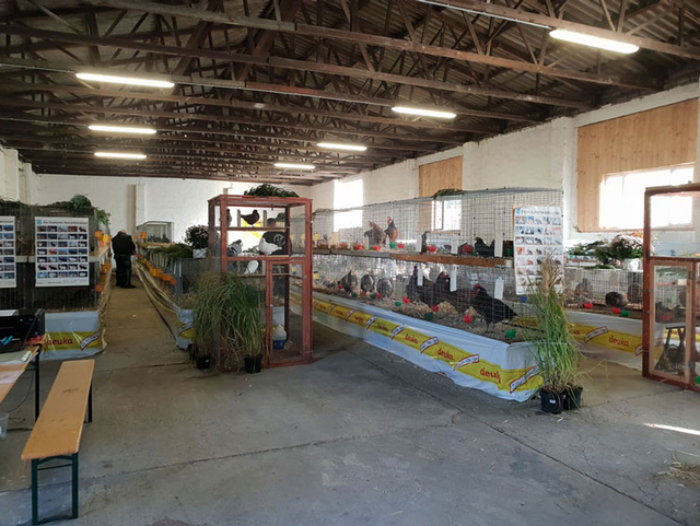 KTZV-D-85-Eberswalde Kleintierschau