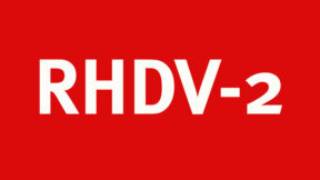 RHD-RHDV-2 – Alles was Sie dazu wissen sollten