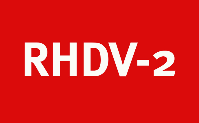 RHDV-2: Impfintervall im Blick?