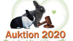 Kaninchenauktion des Rassekaninchenzuchtforums