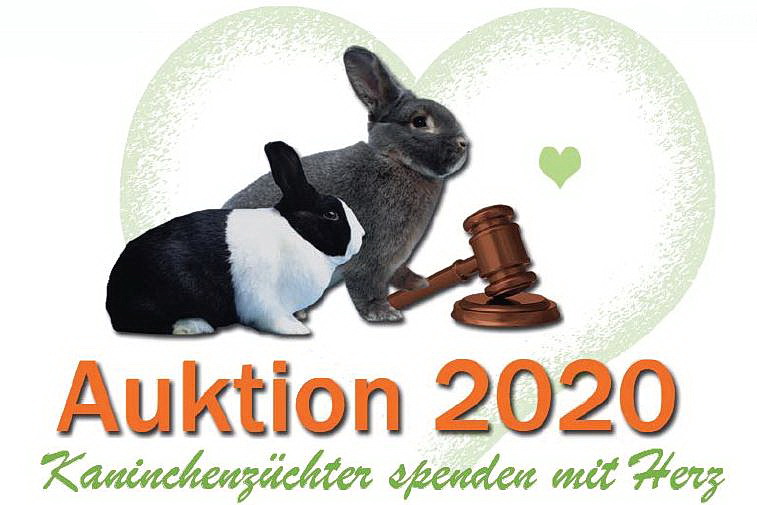 Kaninchenauktion des Rassekaninchenzuchtforums