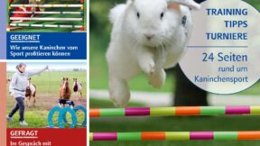 Überflieger 1-2021 erschienen