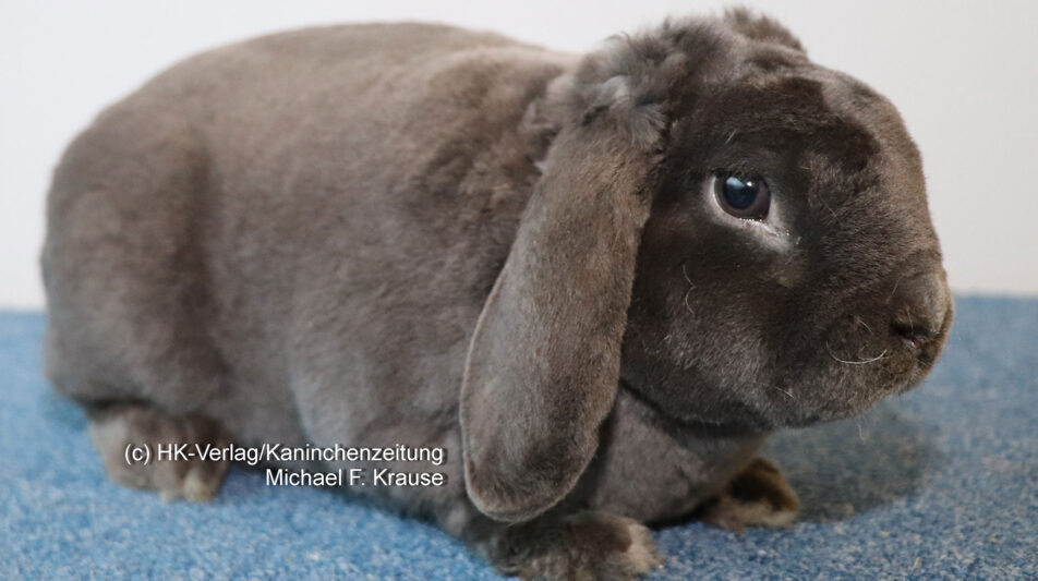 Neuigkeiten aus der Standard-Fachkommission