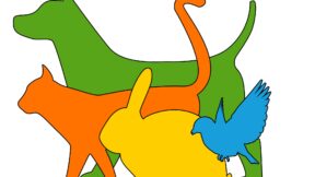 Förderprogramm „Tiere online“ – kostenfreie Webseitenerstellung durch Azubis