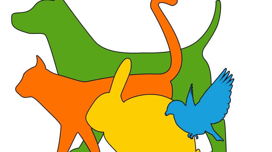 Förderprogramm „Tiere online“ – kostenfreie Webseitenerstellung durch Azubis