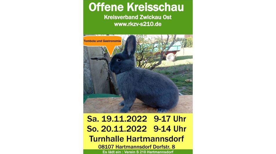 Offene Kreisschau des KV Zwickau