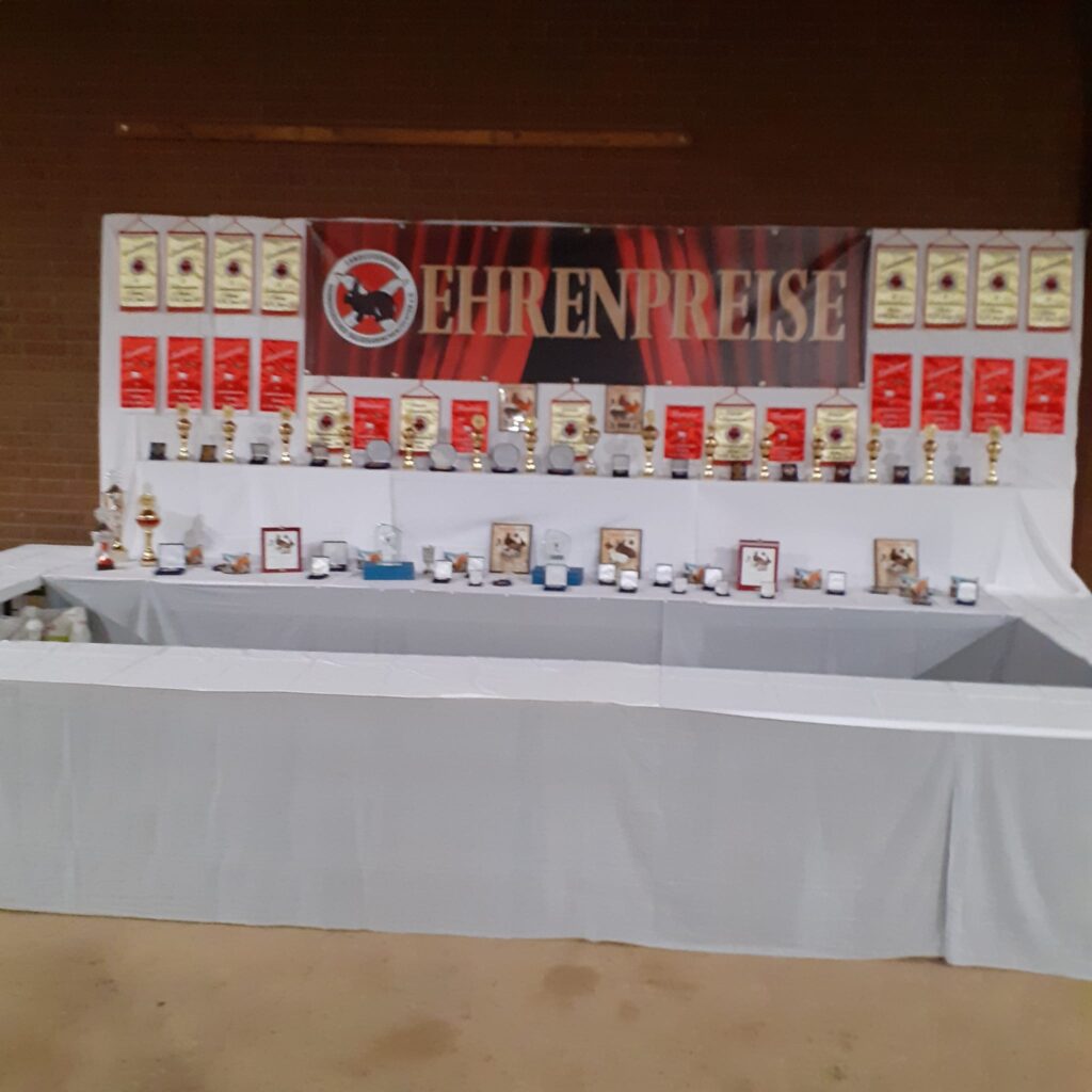 Impressionen von der Ausstellungshalle der LV-Schau Hannover 2023.Impressionen von der Ausstellungshalle der LV-Schau Hannover 2023.