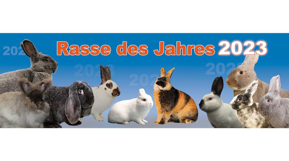 Rasse des Jahres 2023