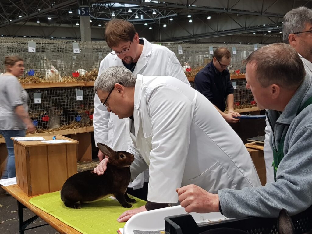 36. BKS 2023 in Leipzig, Bewertungstag #1