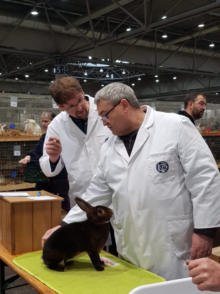 36. BKS 2023 in Leipzig, Bewertungstag #1