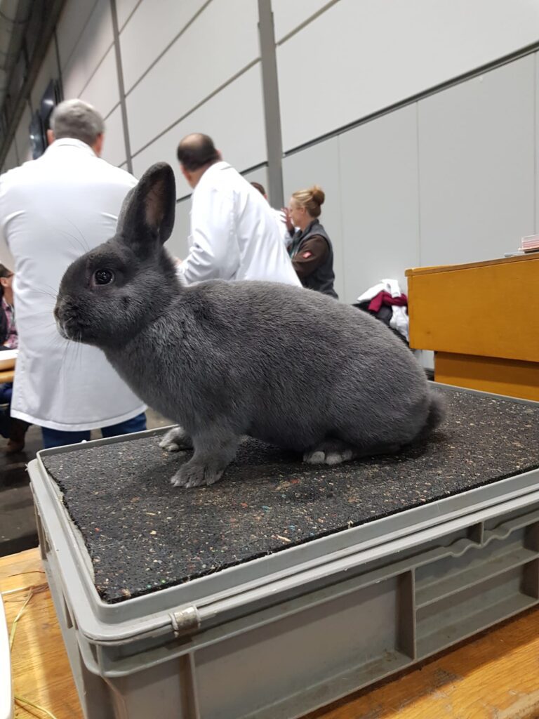 36. BKS 2023 in Leipzig, Bewertungstag #1