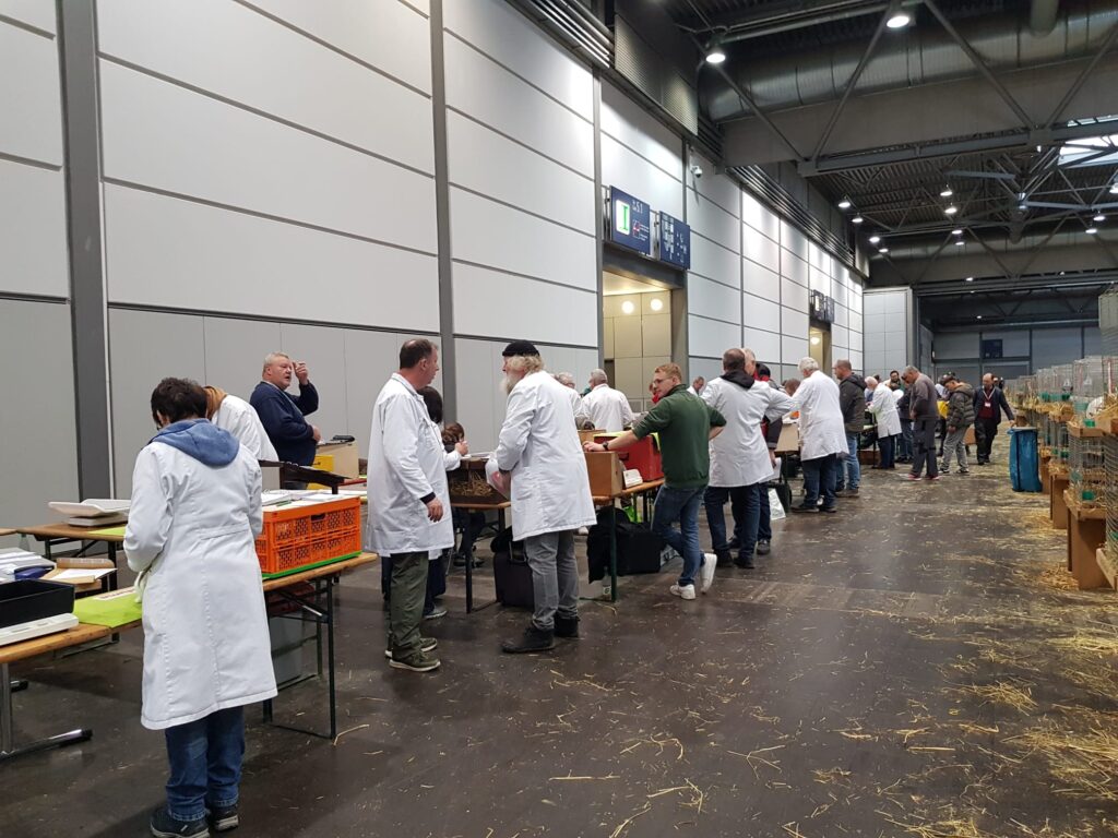 36. BKS 2023 in Leipzig, Bewertungstag #1