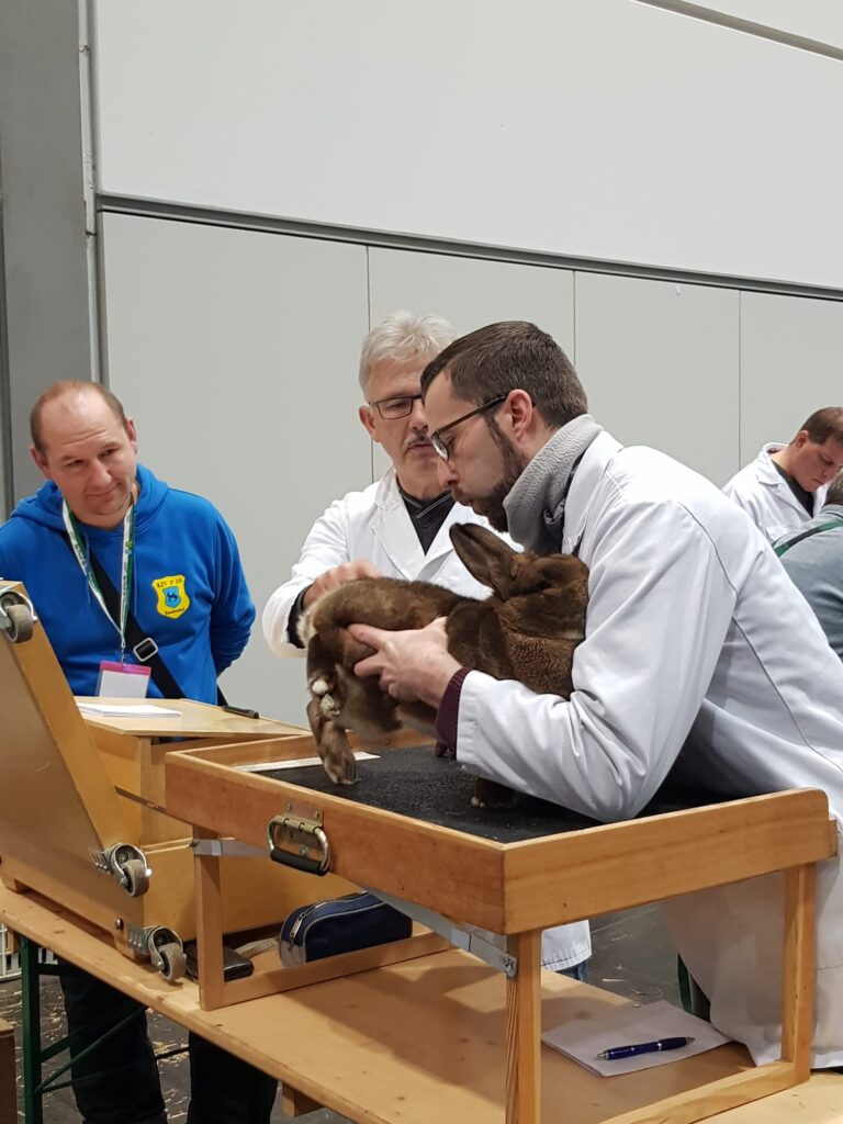 36. BKS 2023 in Leipzig, Bewertungstag #1