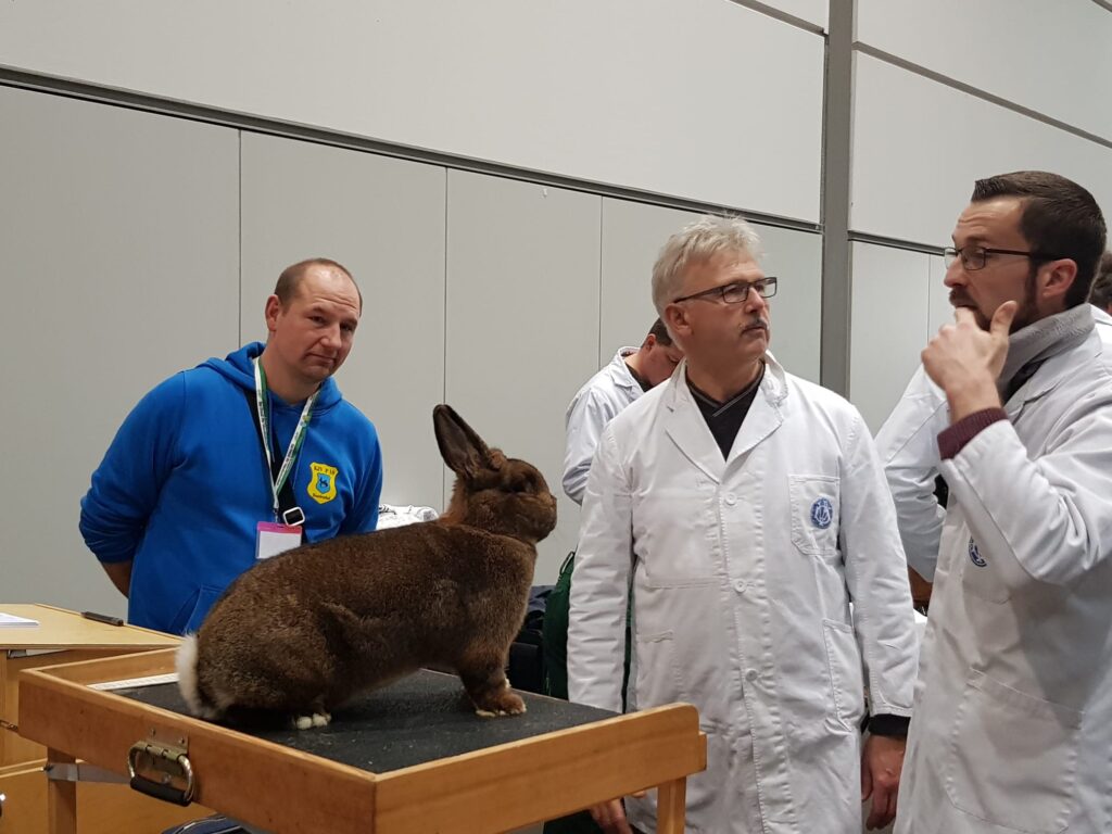 36. BKS 2023 in Leipzig, Bewertungstag #1