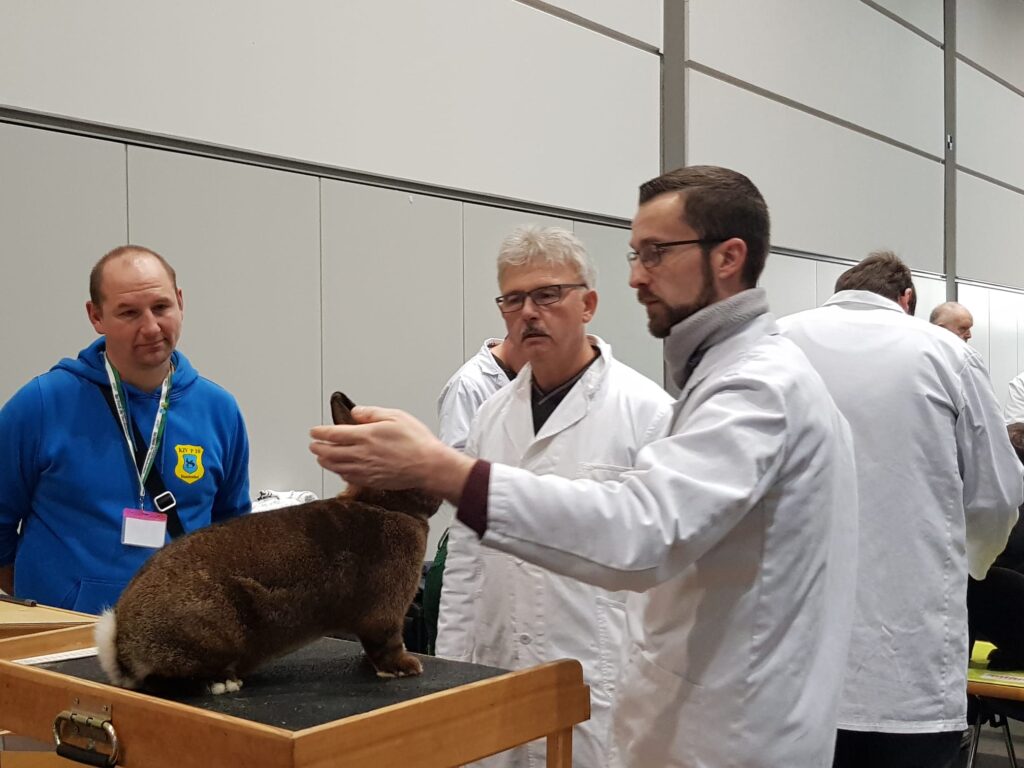 36. BKS 2023 in Leipzig, Bewertungstag #1