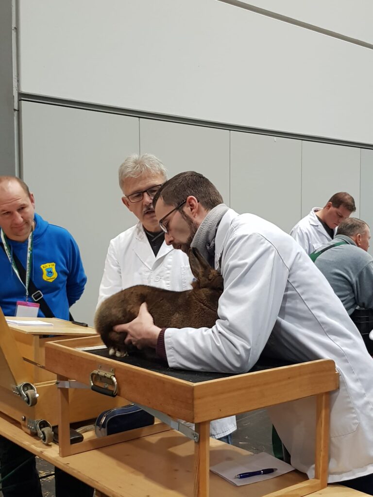 36. BKS 2023 in Leipzig, Bewertungstag #1