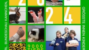 43. Noordshow 2024 in Hardenberg