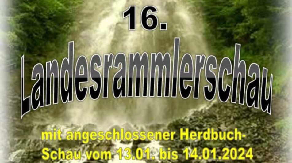 16. LV-Rammlerschau und 12. LV-Herdbuchschau Thüringen 2024 in Trusetal
