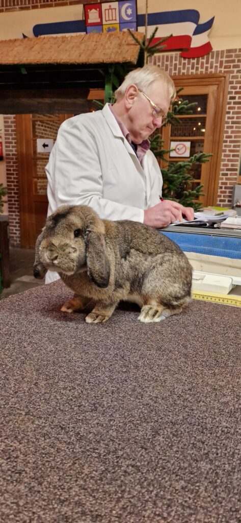 71. LV-Schau Schleswig-Holstein 2024 in Süderbrarup, Impressionen (2)