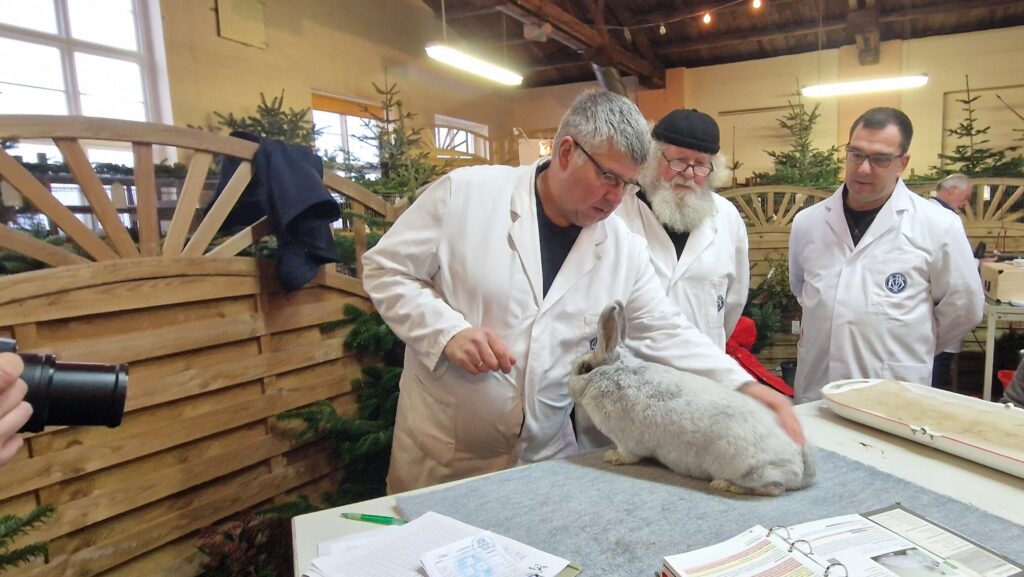 71. LV-Schau Schleswig-Holstein 2024 in Süderbrarup, Impressionen (3)