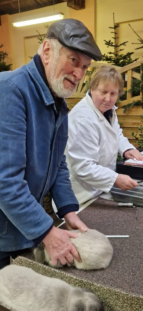 71. LV-Schau Schleswig-Holstein 2024 in Süderbrarup, Impressionen (7)