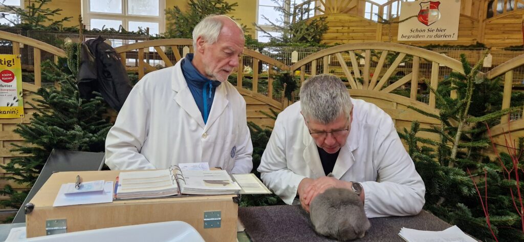 71. LV-Schau Schleswig-Holstein 2024 in Süderbrarup, Impressionen (8)