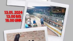 Allgemeine Rammlerschau mit angeschlossener Häsinnen-Verkaufsschau 2024 beim KZV I 16 Ihlow Großefehn