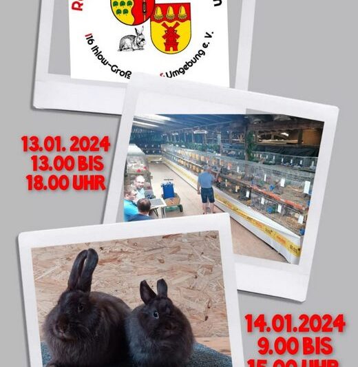 Allgemeine Rammlerschau mit angeschlossener Häsinnen-Verkaufsschau 2024 beim KZV I 16 Ihlow Großefehn