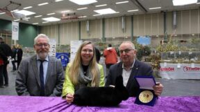 Landesverbandsschau Mecklenburg-Vorpommern 2023 in Gnoien