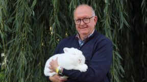 50. Neuseeländer-Club-Vergleichsschau 2024 in Stadtroda