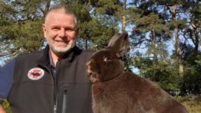 35. Alaska- und Havanna-Club-Vergleichsschau 2024 in Sandbostel