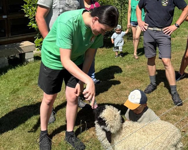 KTZV-524-Hohentengen_Schafaufzucht