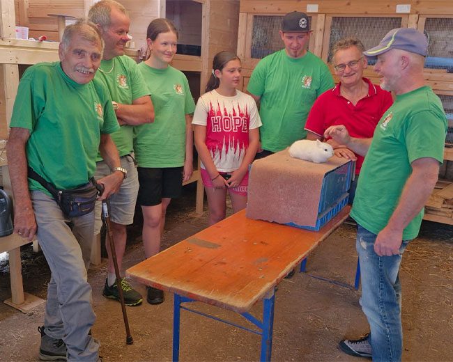 KTZV-524-Hohentengen_Stallbesichtigung