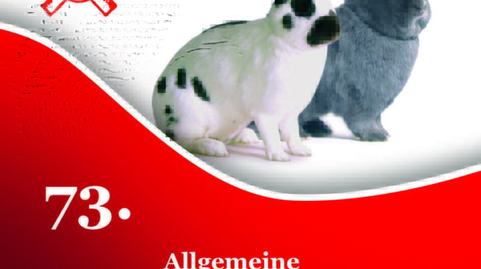 73. Allgemeine Niedersächsische Kaninchenschau 2025 in Osnabrück