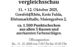 50. Jubiläums-Schecken-Club-Vergleichsschau