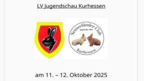 51. Neuseeländer-Club-Vergleichsschau 2025 in Bebra