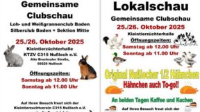 Lokalschau C 315 Nußloch mit gemeinsamer Clubschau des Loh- und Weißgrannen-Clubs Baden sowie des Silber-Clubs-Baden, Sektion Mitte