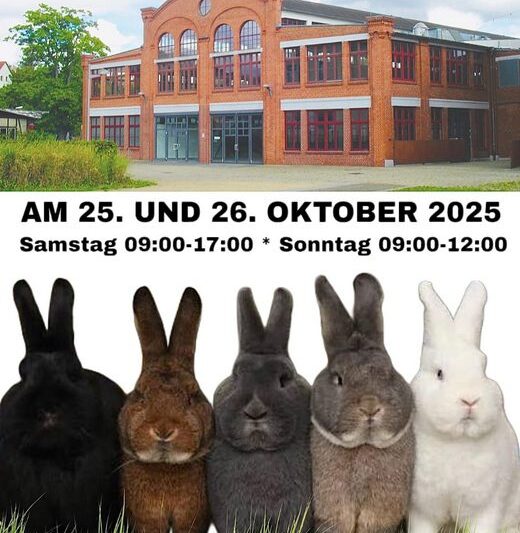 33. Osterlandschau mit 31. Wiener-Club-Vergleichsschau 2025 in Ronneburg