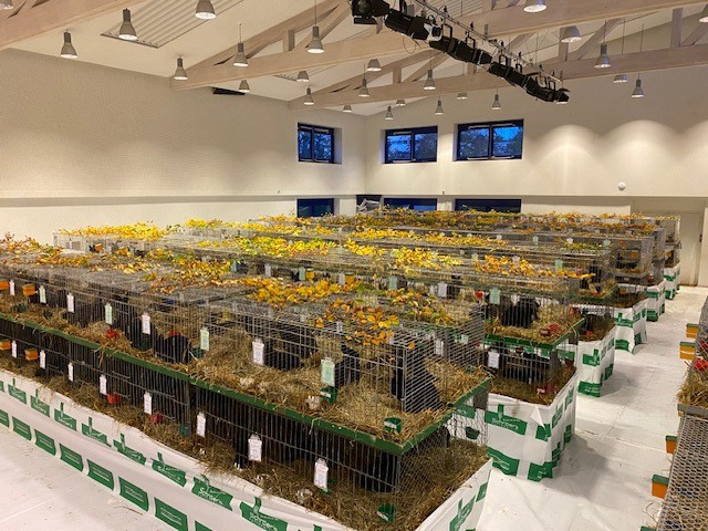 2025_10 Alaska- und Havanna-CVS 2025, Impressionen1