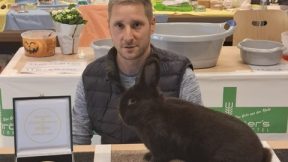 36. Alaska- und Havanna-Club-Vergleichsschau 2025 in Hünfelden-Dauborn