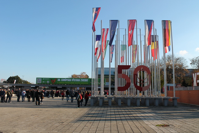 30. EE-Europaschau 2025 in Nitra