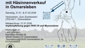 33. offene Rammlerschau mit Häsinnenverkauf in Osmarsleben